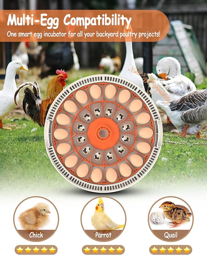 30 Egg Incubators for Hatching Eggs with Automatic Egg Turner, Auto Temperature Control, LED Candling, Humidity Monitor, 360° Viewing for Chicken Quail Parrot Birds - Image 6