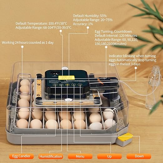 Winado Incubators for Hatching Eggs, 48 Egg Incubator with Automatic Egg Turning, Temperature & Humidity Control, Egg Candler, Automatic Water Filling and Day Counter for Eggs Hatching - Image 9