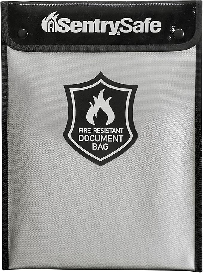 SentrySafe Fire and Water Resistant Portable Bag with Zipper for Money or Document Storage, FBWLZ0SSC by SentrySafe