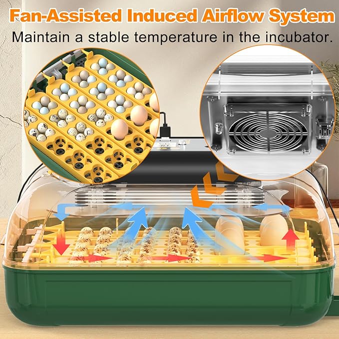 30 Egg Incubator for Hatching Eggs with Automatic Egg Turning, Temperature & Humidity Display, Hatch Day Countdown, Auto Water Refilling System, Egg Candler, Multifunctional Egg Tray for Chicken - Image 5