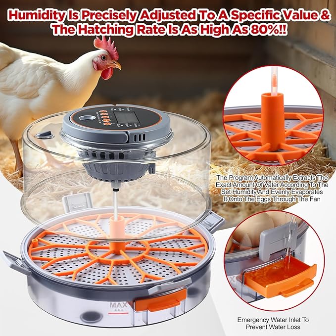 Chicken Egg Incubator 12-40 Eggs - Automatic 760° Egg Turner with Digital Display, Auto Temperature Humidity Control for Hatching Chicken Duck Quail Eggs, High Hatch Rate Poultry Incubator - Image 4
