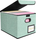 BALEINE File Organizer Box with Lid, Collapsible File Folder Organizer with Plastic Slide, Hanging File Folder Box for Office Document Storage (1 Pack, Green) by BALEINE