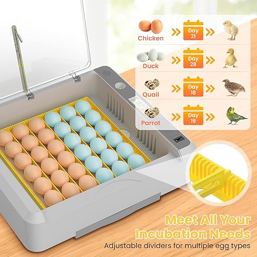 36-60 Egg Incubator with Automatic Egg Turning and Humidity Control, Adjustable Chicken Egg Incubator with Digital Display, for Hatching Eggs Include Chicken Duck Quail Eggs(Yellow) - Image 6