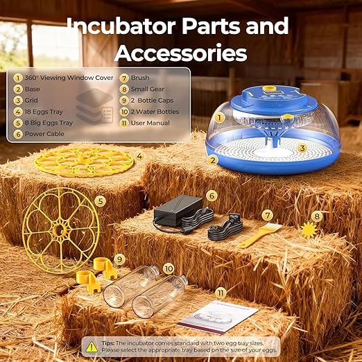 18 Egg Incubators for Hatching Eggs, 360° View with Automatic Egg Turning & Humidity Control, Built-in Egg Candler for Hatching Chicken, Duck, Goose, Quail, Ideal for Home, Classroom, Laboratory, Farm - Image 9