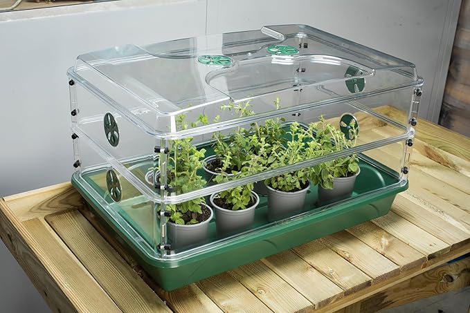 EarlyGrow 95457 24" x 15" x 16.75" Domed Propagator, Green, 3 Side Extenders and Locking Clip Set - Image 10