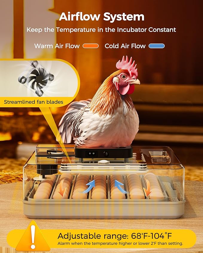 48 Egg Incubator for Hatching with Automatic Egg Turning and Humidity Control, Egg Candler, Poultry Egg Incubator for Chicken, Ducks, Goose, Pigeon, Quail, ideal for Farm, Classroom, Home - Image 4