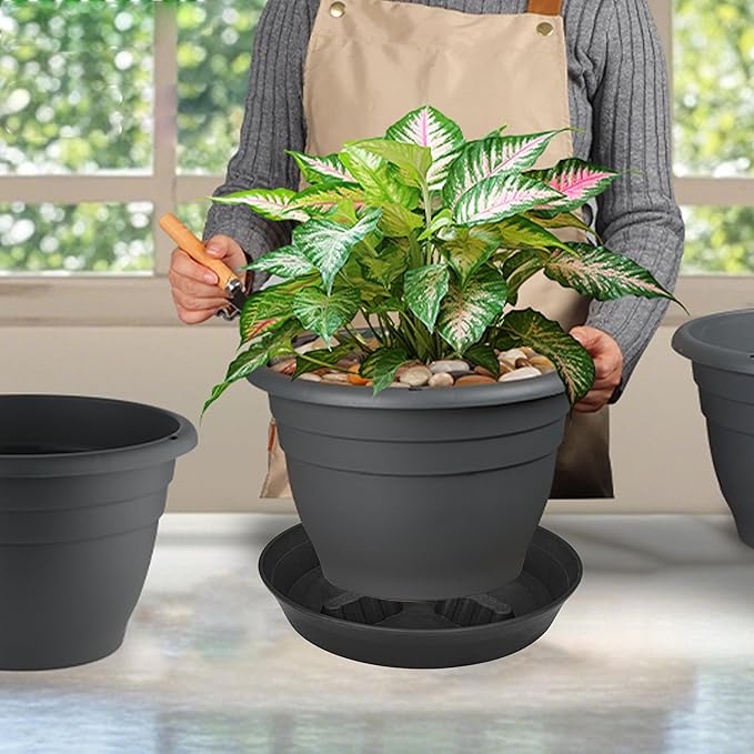 4 Pack Plant Saucer 10 inch, 8 12 14 17 inch, Plant Stand Plastic Plant Saucers for Indoors Outdoor, Heavy Duty Flower Plant Risers for Inside Pots, Pot Saucers for Plants, Grow Bags Saucers - Image 6