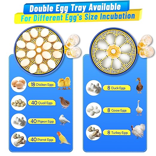 Incubator for Hatching 18 Eggs - Automatic Turning Smart Temp Humidity Control with Alarm, 360° Clear View Candler Function for Chicken Duck Quail Goose Poultry (Dual Trays) - Image 4
