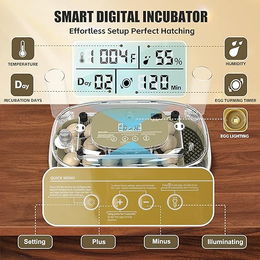 Incubators for Hatching Eggs, 24 Egg Incubator with Automatic Egg Turning and Humidity Control, Egg Candler, 360° Viewing, Chicken Incubators for Hatching Eggs, Quail Eggs, Duck Eggs Poultry - Image 2