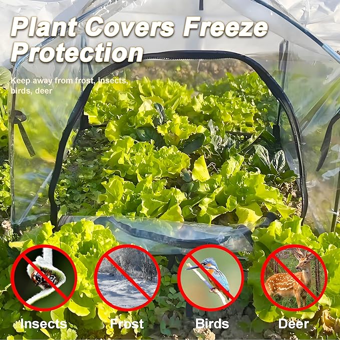 24.5″ *24.5″ *20.5″, Mini Greenhouse Winter Plant Warm Covers - Raised Bed Cover for Seed Starting, Warm Tent Freeze Protection Humidity Domes for Gardening & Winter Shelter and Protecting Plants 2pcs - Image 5