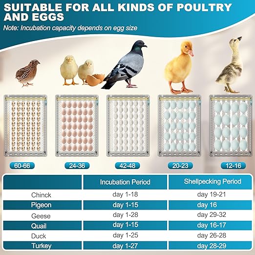 Incubators for Hatching Eggs, 36 Egg Incubator with Automatic Egg Turning and Humidity Control, Chicken, Duck, Goose, Bird, Quail, Incubator for Farm, Lab, Home（White） - Image 6