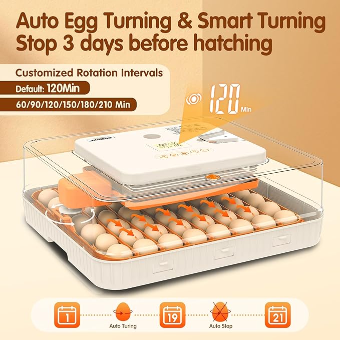 Incubator for Hatching Eggs, 56 Eggs Incubator with Automatic Egg Turning, Temperature & Humidity Control, LED Egg Candler, Incubation Days Display, for Chicken, Duck, Goose, Quail, Parrot Bird Eggs - Image 2