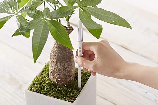 Sustee Aquameter, Set of 5, Plant Soil Moisture Sensor (Green, Medium) - Image 3