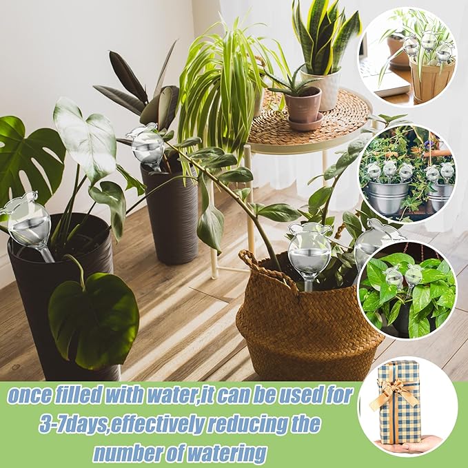 Yungyan 6 Pcs Self Watering Plant Globes Glass Cactus Insert Watering Devices Automatic Plant Watering Bulbs Water Globes for Indoor Outdoor Plants(Clear Tulip,5.31 Inch) - Image 2
