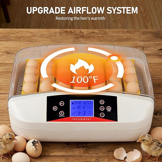 Winado Incubators for Hatching Eggs, 41 Egg Incubator with Automatic Egg Turning & Temperature Control, Egg Candler, and Day Counter for Chicken, Duck, and Quail Eggs Hatching - Image 4