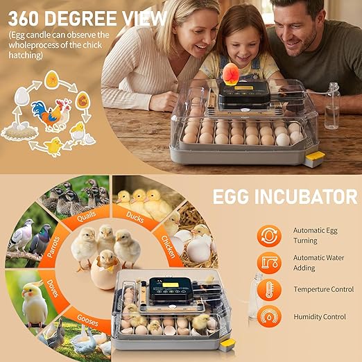 Winado Incubators for Hatching Eggs, 48 Egg Incubator with Automatic Egg Turning, Temperature & Humidity Control, Egg Candler, Automatic Water Filling and Day Counter for Eggs Hatching - Image 6