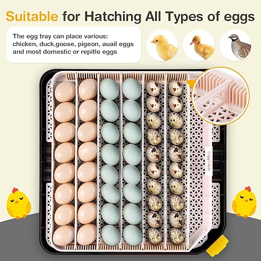 Sailnovo 48 Egg Incubator for Hatching Eggs with Precise Temp & Humidity Control,Auto Egg Turning, 360°Viewing, Egg Candler,Incubator for Chicken Eggs/Duck/Quail/Turkey,Ideal for Farm/School/Lab,Grey - Image 7