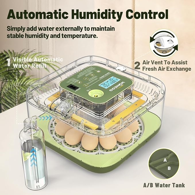 12 Egg Incubator with Automatic Egg Turning and Humidity Control, LED Egg Candling Light, Customized Incubation Days, Incubators for Hatching Eggs, Chicken Quail Parrot Pigeon Birds, Green - Image 3
