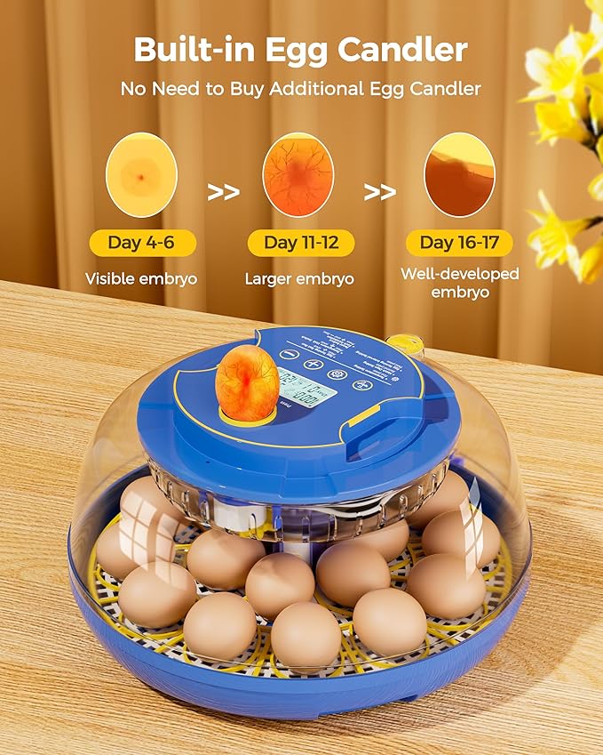 18 Incubators for Hatching Eggs, Automatic Egg Turning and Humidity Control, 360 View, Suitable for Chickens, Ducks, Quails, and Other Birds - Image 6