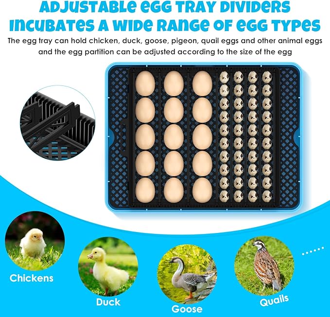 25 Egg Incubator Digital Poultry Hatcher Machine with Automatic Egg Turning, incubators for Hatching Eggs, Temperature & Humidity Control, LED Screen, General Purpose Incubator - Image 3