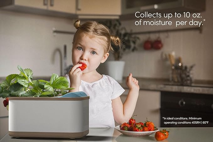 Eva-Dry Dewplanter Compact 2-in-1 Dehumidifier & Self-Watering Indoor Planter - Dehumidify Small Spaces While You Grow Your Favorite Small Plants, Herbs, and Succulents - Image 4