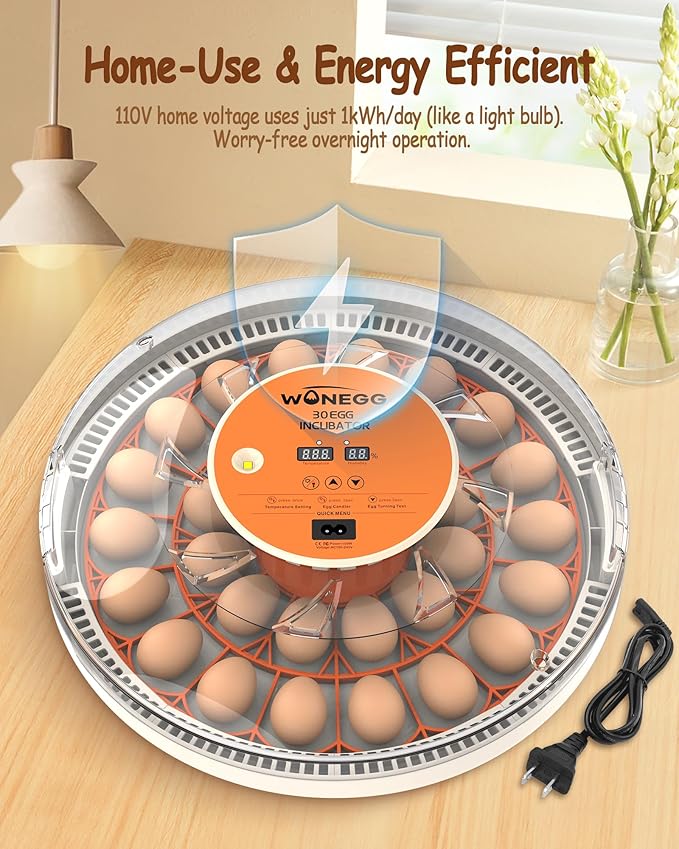 30 Egg Incubators for Hatching Eggs with Automatic Egg Turner, Auto Temperature Control, LED Candling, Humidity Monitor, 360° Viewing for Chicken Quail Parrot Birds - Image 9