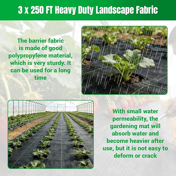 Weed Barrier Fabric Planting Cover - 3 x 250 FT Heavy Duty Landscape Fabric Ground Cover Block for Outdoor Planting - Image 5