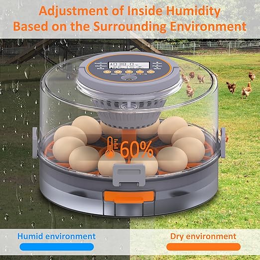 12 Egg Incubator with Automatic Egg Turning and Humidity Control, Intelligent Egg Incubator with Automatic Temp. Adjustment - Image 3