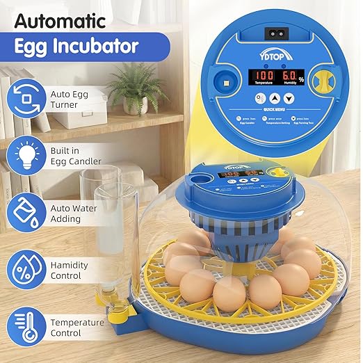Chicken Egg Incubators for Hatching Eggs, 12 Egg Incubator with Automatic Egg Turning and Humidity Control – Chicken Incubators for Hatching Eggs with 360° View/Candler/Water Bottle Refill/Air Vent - Image 6