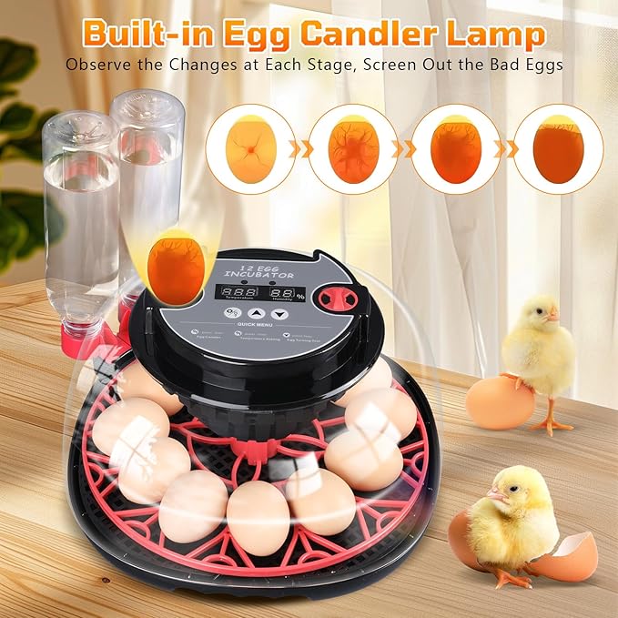 12-Egg Incubator, Automatic Egg Turning Function, Humidity Control, External Water Bottle for Watering, 360° Observation, Suitable for Chickens, Ducks, Geese, and Quails - Image 2
