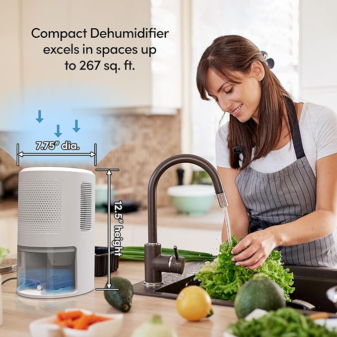Eva-Dry EDV-2400 Compact and Powerful Dehumidifier | Eliminate Moisture | Energy Efficient | Quiet | Portable | Includes 3-Foot Drain Hose | Ideal for Home, Office, and RV - Image 2