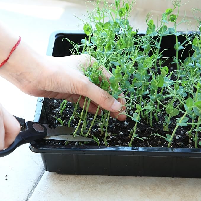 Mr. Pen- Plastic Growing Trays, 10 Pack, Black, 17”x10”, Plant Tray, Seed Tray, Seedling Tray, Propagation Tray, Plant Trays for Seedlings, Seedling Starter Trays, Microgreens Growing Trays - Image 9
