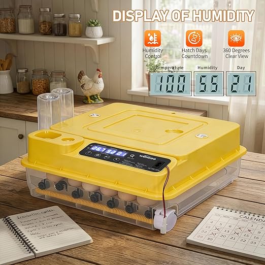 Winado Incubators for Hatching Eggs, 30 Egg Incubator with Automatic Egg Turning, Temperature & Humidity Control, Egg Candler, Automatic Water Filling and Day Counter for Eggs Hatching - Image 4