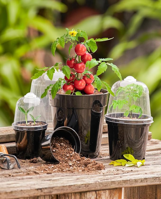 homenote Nursery Pots for Plants,3/4/5 Inch Plant Pot for Planting with Humidity Domes Plastic Seedling with Drainage Holes Seed Starter Flower with 10 Labels Black (15 Pack) - Image 2