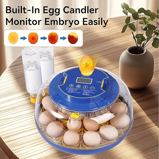 18 Egg Incubators for Hatching Eggs, Chicken Egg Incubator with Automatic Egg Turning and Temperature Humidity Control, 360° Clear View Lid or Home, Farm, Classroom, Hatching Chicken, Duck,Quail,Goose - Image 5