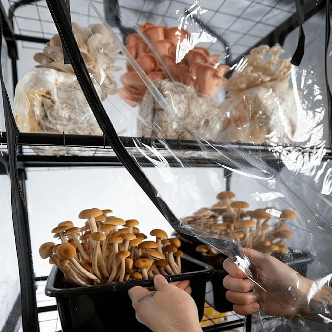 Mushroom Grow Tent, Martha Tent for Mushroom Growing kit, Mini Greenhouse Indoor, sturdy racks can accommodate a variety of mushrooms, including trays, fruiting blocks & grow kits (Mushroom Grow Tent) - Image 6