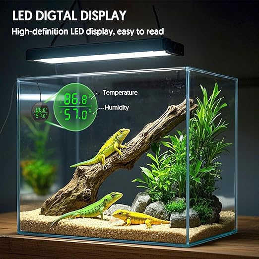 QZQ Reptile Thermometer and Humidity Gauge, LED Digital Thermometer Hydrometer, Reptile Tank Accessories for Bearded Dragon, Crested Gecko, Snake, Lizard, USB Power Supply (2 Pack Black) - Image 3