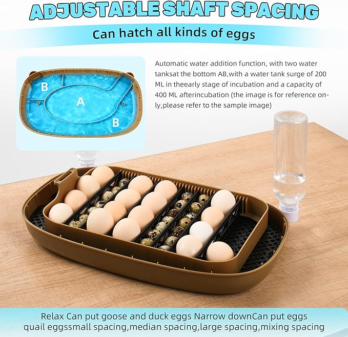 Incubators for Hatching Eggs,24 Egg Incubator with Automatic Egg Turning and Humidity Control,Egg Candler,Air Vent,360° Viewing for Chicken,Duck Eggs,Ideal for Farm,Classroom,Home Use - Image 4