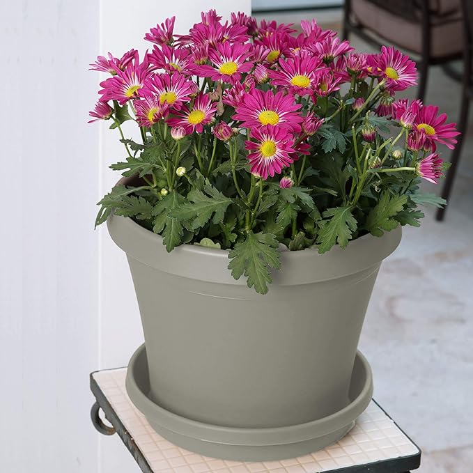 Bloem Terra Resin Saucer Tray: 6.5" Bottom Width - Pebble Stone Beige - Matte, Durable, Ribbed Bottom, Indoor and Outdoor, Fits 8" Terra Pots - Image 2