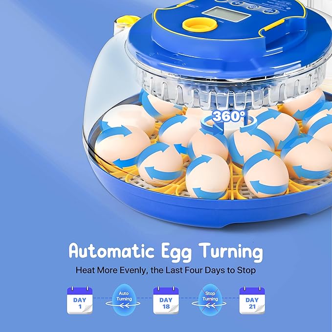 18-36 Eggs Incubators for Hatching Eggs with Automatic Egg Turning and Humidity Control, for Chicken, Duck, Quail, Goose, Parrot Eggs - 360° View for Farm, Classroom, Home Use - Image 4