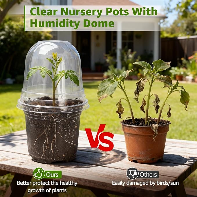 MIXC Clear Nursery Pots with Humidity Domes, 5/4/3.5 Inch Reinforced Transparent Plastic Pots for Planting with Drainage Holes, for Tomato Seedlings, Cactus, and Herbs, 30 Pack - Image 5