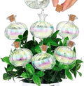 Yungyan 6 Pcs Self Watering Plant Globes Glass Cactus Insert Watering Devices Automatic Plant Watering Bulbs Water Globes for Indoor Outdoor Plants(Rainbow Color,9.84 Inch) by Yungyan
