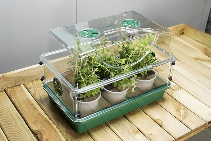 EarlyGrow Domed Propagator with 1 Height Extender, Seedling Trays, and Locking Clip Set, Green, Medium (97008) - Image 9