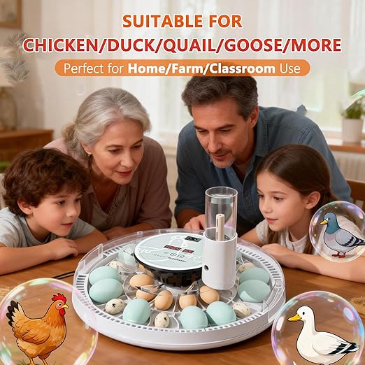 MeeF incubators for Hatching 28 Eggs,Independent atomizing humidifier, Auto Flip, Additional Equipped Well as Duck and Goose Egg Trays That can Hold 12 Eggs.(White) - Image 2