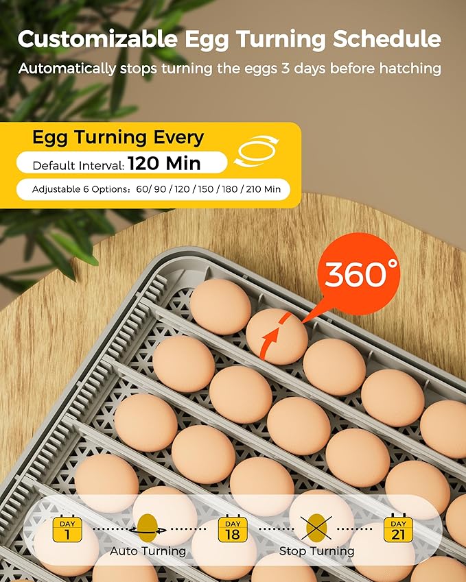 48 Egg Incubator for Hatching with Automatic Egg Turning and Humidity Control, Egg Candler, Poultry Egg Incubator for Chicken, Ducks, Goose, Pigeon, Quail, ideal for Farm, Classroom, Home - Image 3