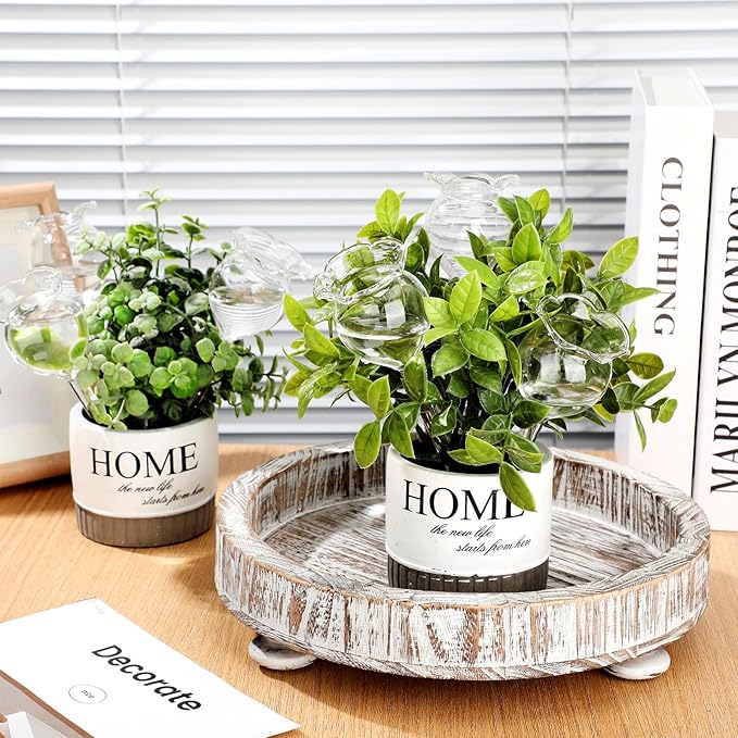 Yungyan 6 Pcs Self Watering Plant Globes Glass Cactus Insert Watering Devices Automatic Plant Watering Bulbs Water Globes for Indoor Outdoor Plants(Clear Tulip,5.31 Inch) - Image 6