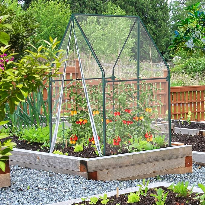 Mini Greenhouse for Indoor Outdoor: Ohuhu Portable Green House with Waterproof Pad for Small Plants Nursery Germination, 36"x36"x58.5" Heavy-Duty PVC Cover Tent Humidity Dome Seedling Accessory - Image 6