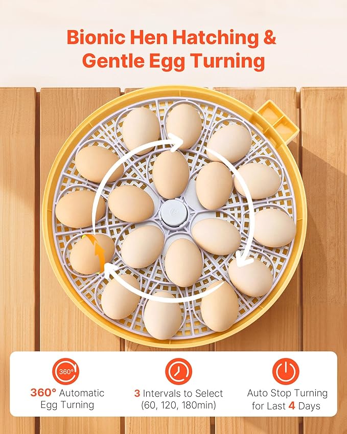 VEVOR 18 Egg Incubator, Automatic Egg Turner with LED Candler, Temperature & Humidity Control, 360° View Clear Window, Auto Water Refill, Poultry Eggs Incubators for Hatching Chicks Ducks Goose Quail - Image 4