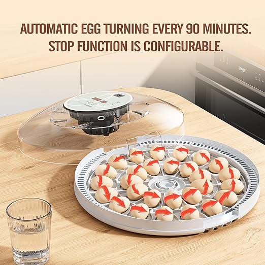 MeeF incubators for Hatching 28 Eggs,Independent atomizing humidifier, Auto Flip, Additional Equipped Well as Duck and Goose Egg Trays That can Hold 12 Eggs.(White) - Image 9