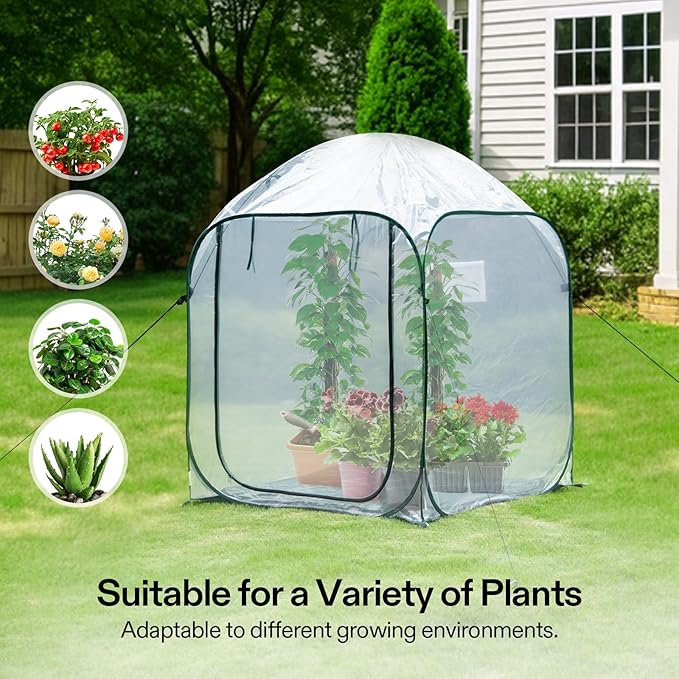 VIVOSUN 49x49x63-Inch Portable Walk-in Greenhouse, with PVC Cover & Detachable Base, Instant Pop-up and Folding, Mini Greenhouse with Roll-Up Door & Mesh Window for Indoor Outdoor, Wind Ropes Included - Image 6
